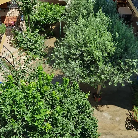 Shqiponja *